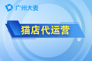 天貓代運營